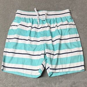 Striped Aqua and White Swim Shorts
